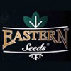 استرن سید-eastern seeds
