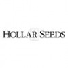 هولار-hollar seeds