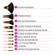 ست 11 عددی براش آرایشی بی اچ کازمتیکس BH Cosmetics Pink A Dot ست 11 عددی براش آرایشی بی اچ کازمتیکس BH Cosmetics Pink A Dot