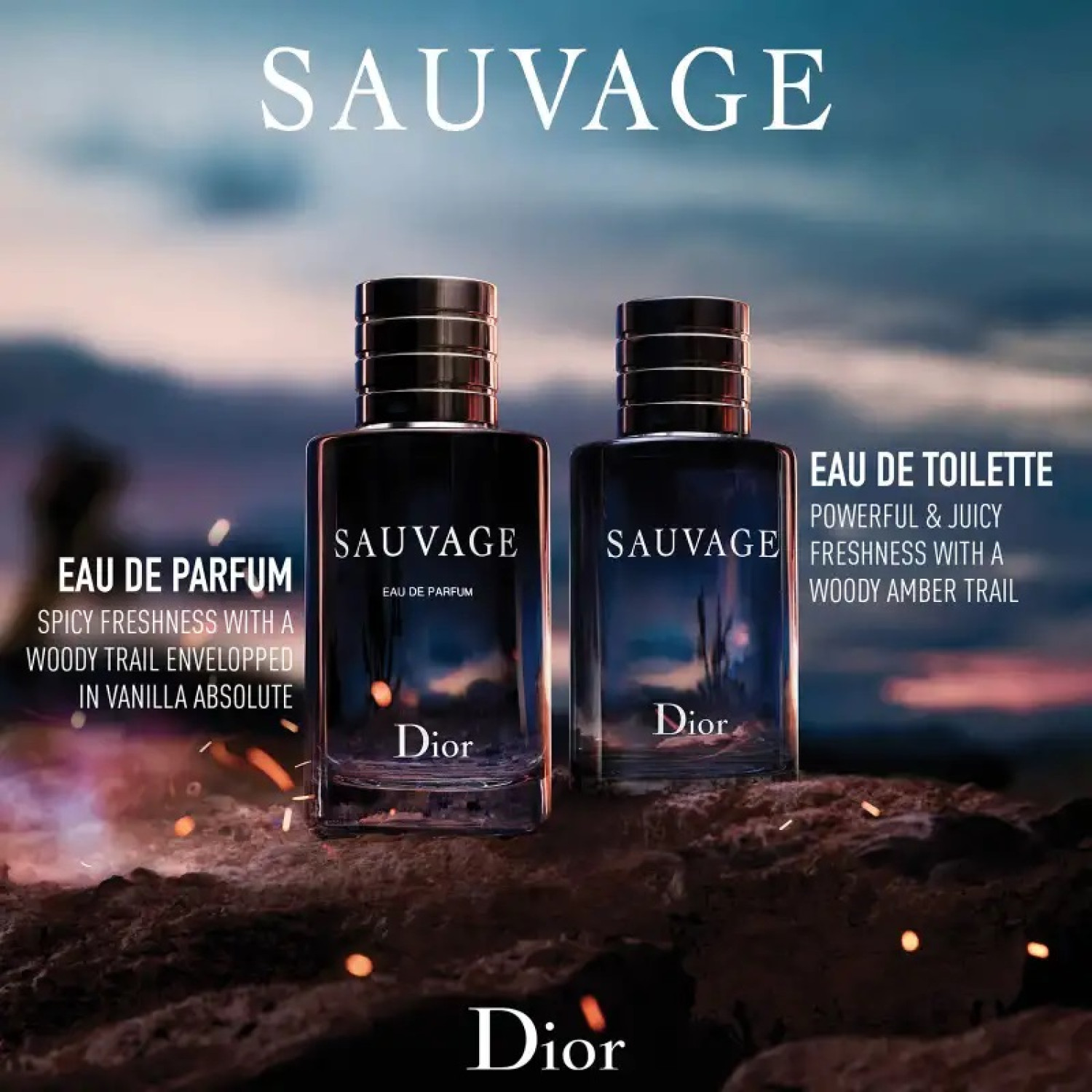 عطر دیور ساوج ادو پرفیوم Dior Sauvage Eau de Parfum حجم 100 میلی لیتر