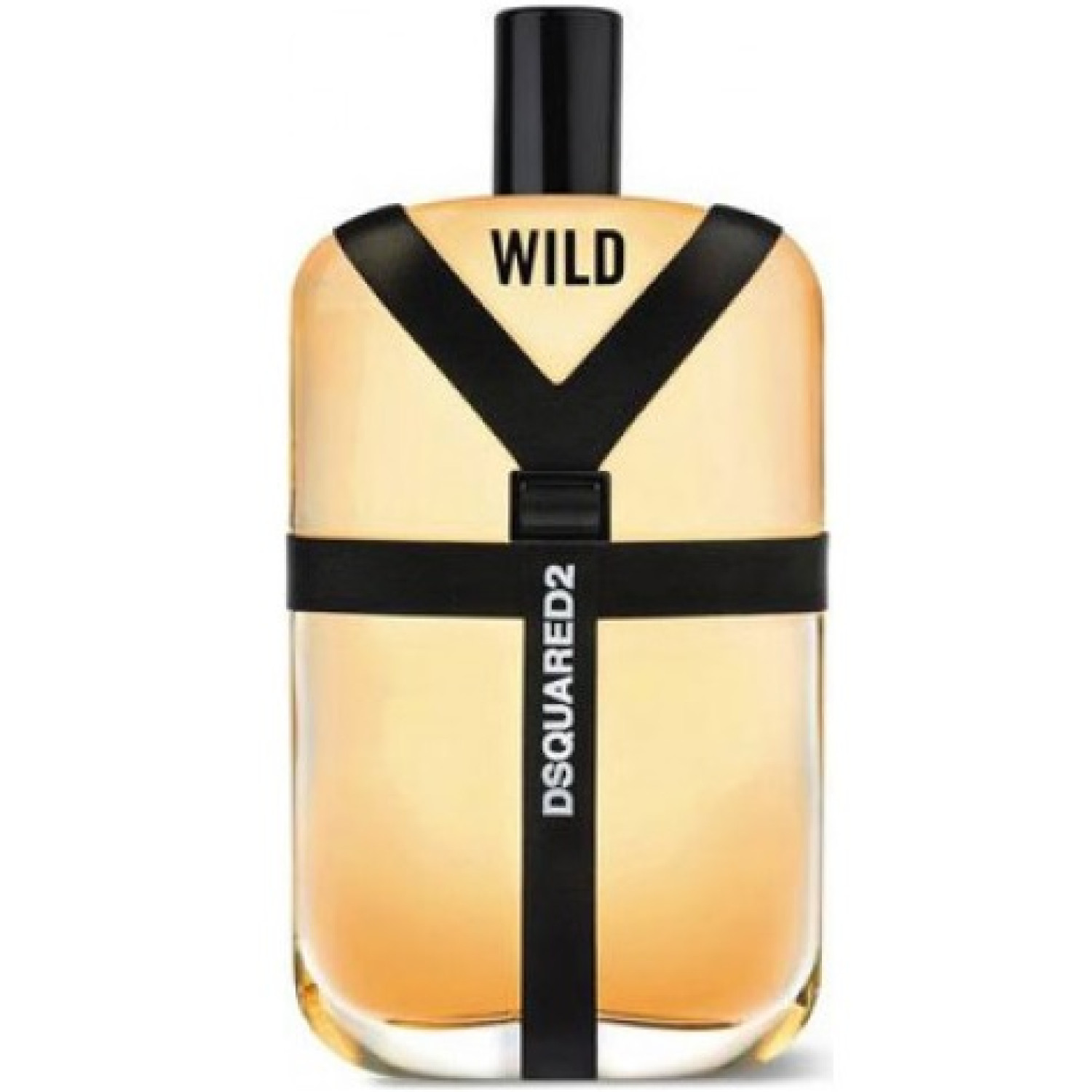 عطر دسکوارد وایلد DSQUARED Wild حجم 100 میلی لیتر