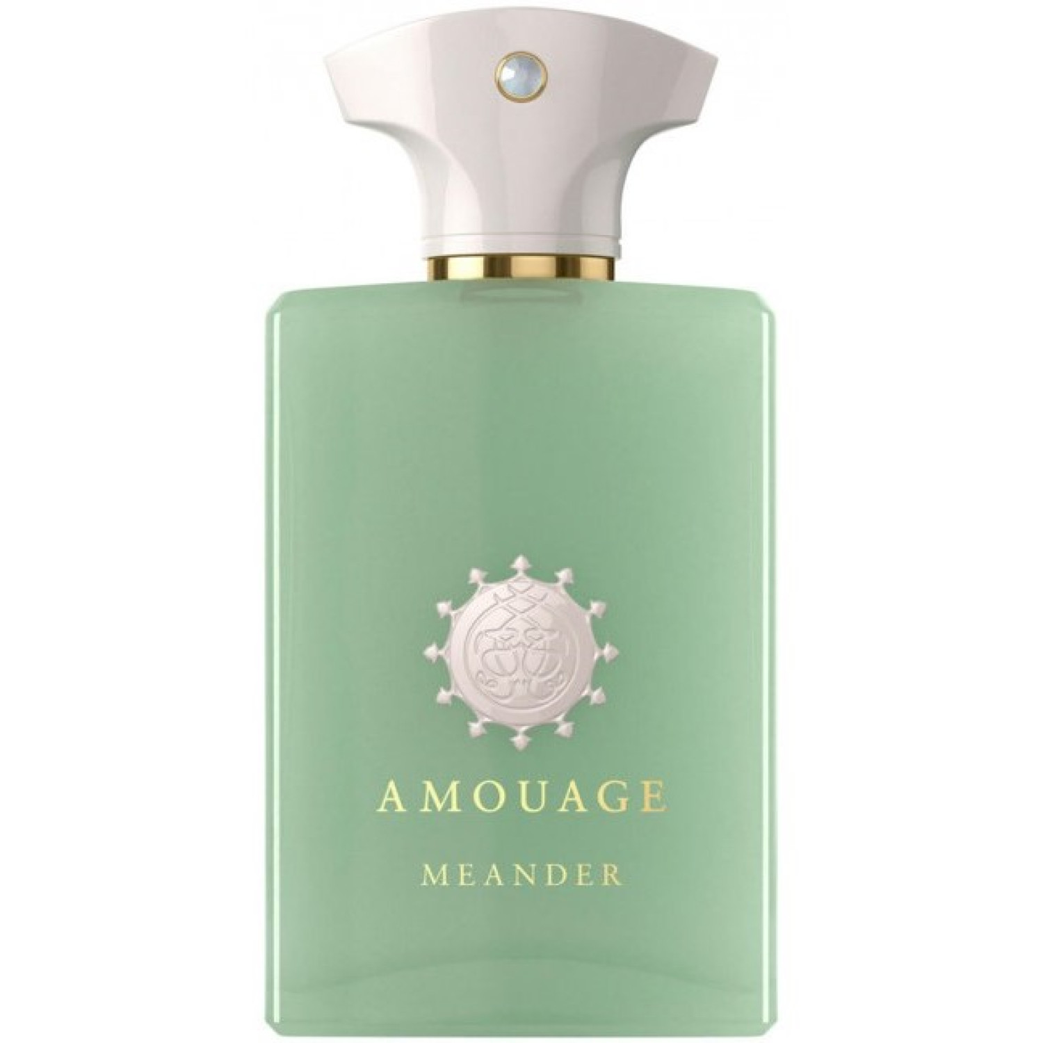 عطر مردانه امواج میندر Amouage Meander حجم 100 میلی لیتر