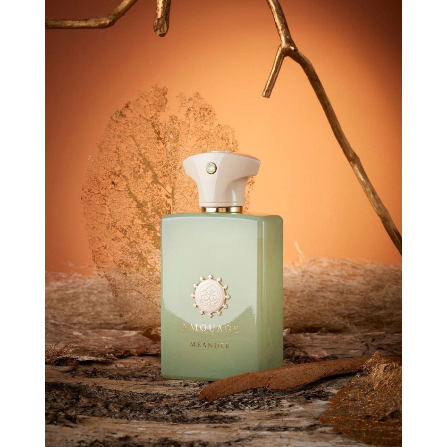 عطر مردانه امواج میندر Amouage Meander حجم 100 میلی لیتر