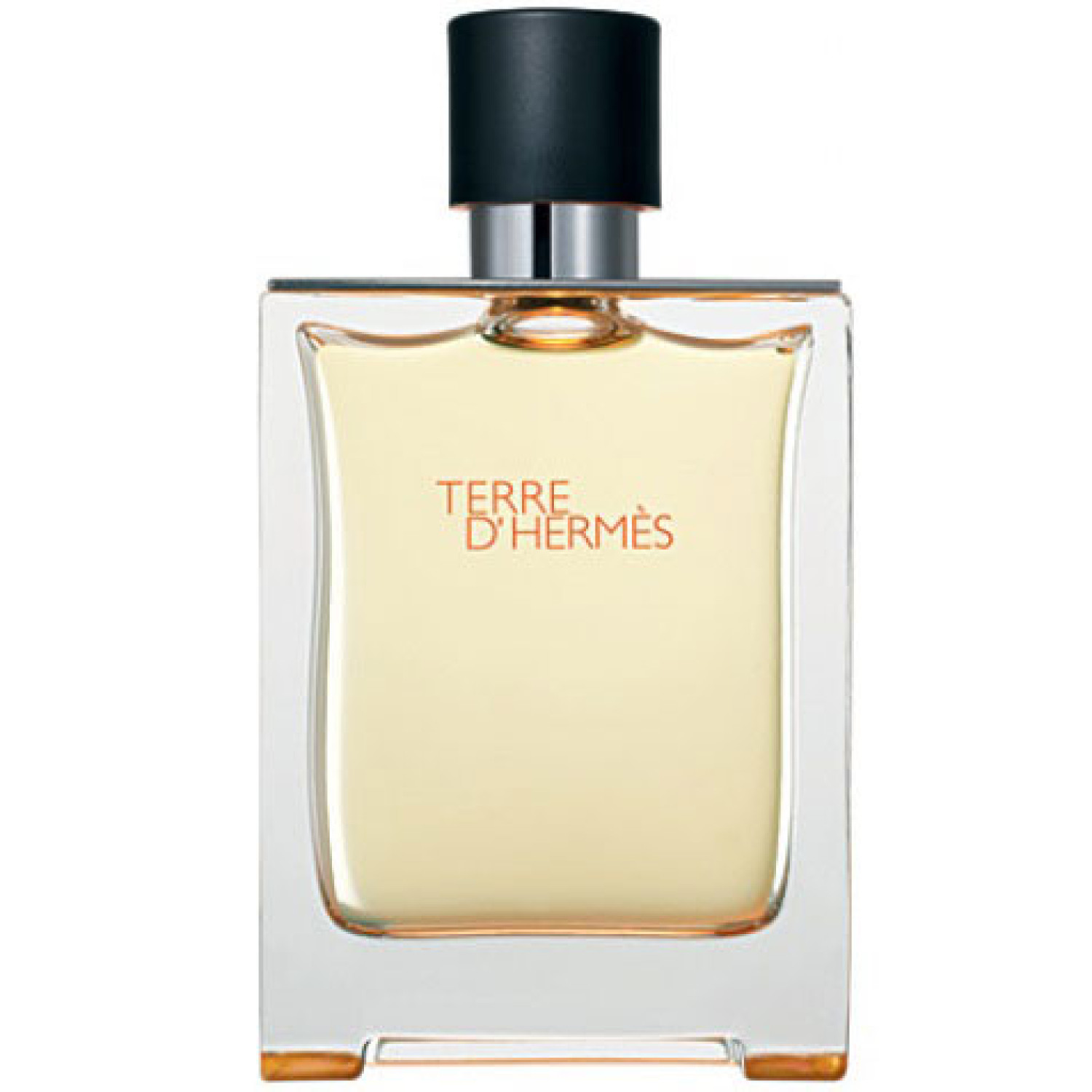 عطر مردانه هرمس تق هرمس ادوتویلت Hermes Terre dHermes حجم 100 میلی لیتر