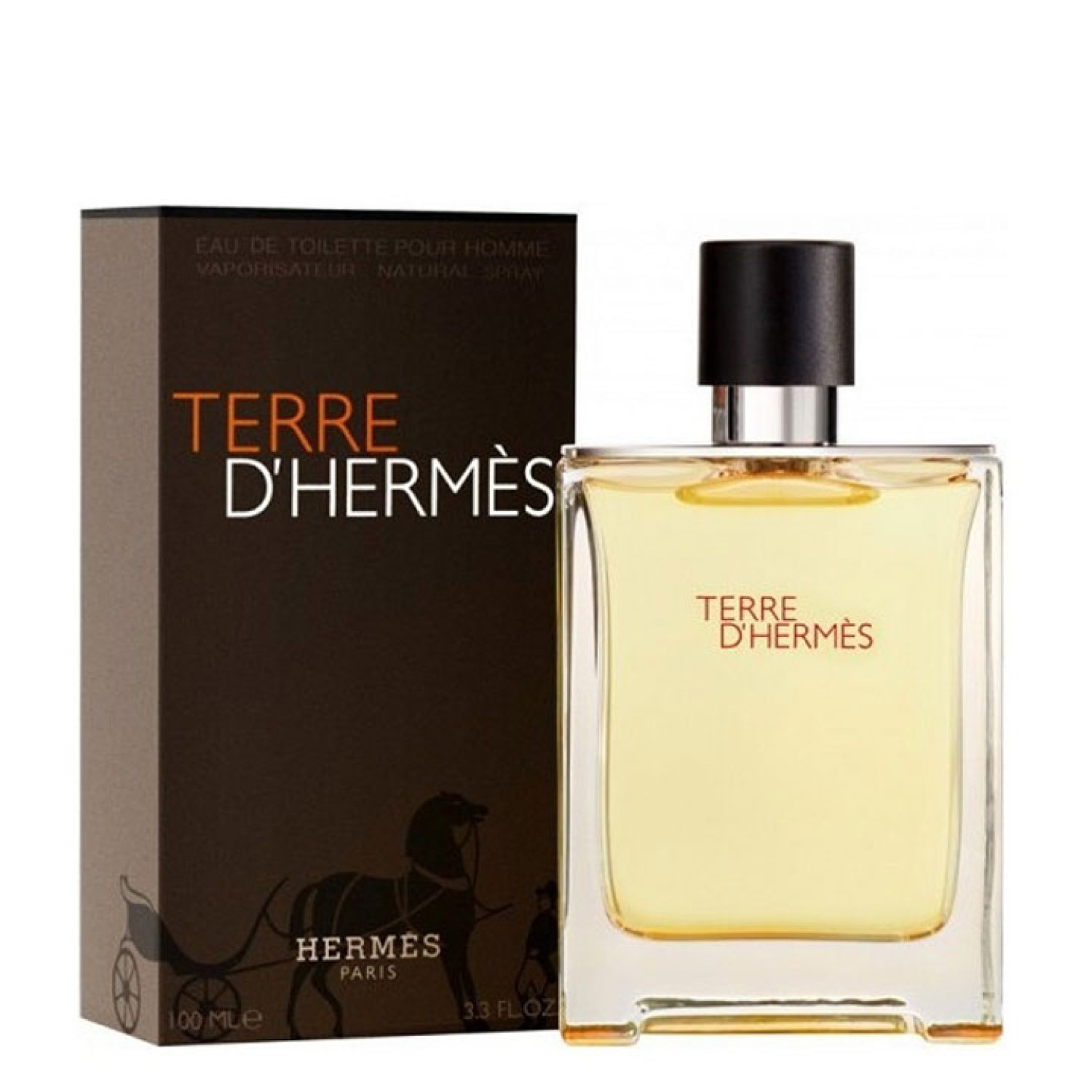 عطر مردانه هرمس تق هرمس ادوتویلت Hermes Terre dHermes حجم 100 میلی لیتر