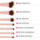 ست 14 عددی براش آرایشی BH Cosmetics به همراه کیف ست 14 عددی براش آرایشی BH Cosmetics به همراه کیف