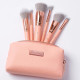 ست 6 عددی براش آرایشی بی اچ کازمتیکس BH Cosmetics Petite Chic به همراه کیف ست 6 عددی براش آرایشی بی اچ کازمتیکس BH Cosmetics Petite Chic به همراه کیف