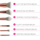 ست 6 عددی براش آرایشی بی اچ کازمتیکس BH Cosmetics Petite Chic به همراه کیف ست 6 عددی براش آرایشی بی اچ کازمتیکس BH Cosmetics Petite Chic به همراه کیف