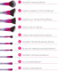 ست 10 عددی براش آرایشی بی اچ کازمتیکس رویال افیر BH Cosmetics Royal Affair ست 10 عددی براش آرایشی بی اچ کازمتیکس رویال افیر BH Cosmetics Royal Affair