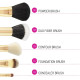 ست 5 عددی براش آرایشی بی اچ کازمتیکس BH Cosmetics Face Essential ست 5 عددی براش آرایشی بی اچ کازمتیکس BH Cosmetics Face Essential