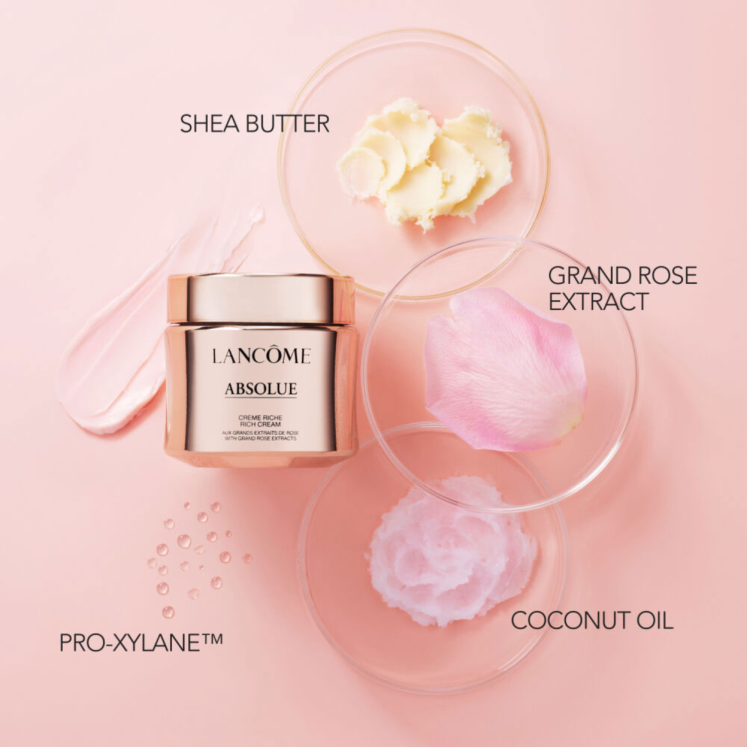 کرم ضدچروک و روشن کننده لانکوم ابسولو Lancome Absolue Rich حجم 60 میلی لیتر کرم ضدچروک و روشن کننده لانکوم ابسولو Lancome Absolue Rich حجم 60 میلی لیتر