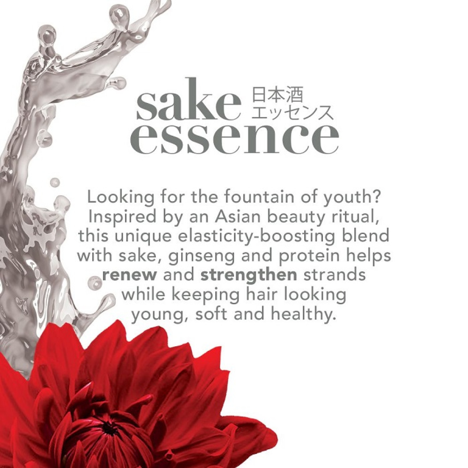 شامپو جوان کننده موی او جی ایکس ساکی اسنس Ogx Sake Essence حجم 385 میلی لیتر