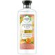 شامپو حجم دهنده گریپ فروت و نعناع هربال اسنسز White Grapefruit Mosa Mint حجم 400 میلی لیتر شامپو حجم دهنده گریپ فروت و نعناع هربال اسنسز White Grapefruit Mosa Mint حجم 400 میلی لیتر