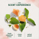 شامپو حجم دهنده گریپ فروت و نعناع هربال اسنسز White Grapefruit Mosa Mint حجم 400 میلی لیتر شامپو حجم دهنده گریپ فروت و نعناع هربال اسنسز White Grapefruit Mosa Mint حجم 400 میلی لیتر