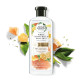 شامپو حجم دهنده گریپ فروت و نعناع هربال اسنسز White Grapefruit Mosa Mint حجم 400 میلی لیتر شامپو حجم دهنده گریپ فروت و نعناع هربال اسنسز White Grapefruit Mosa Mint حجم 400 میلی لیتر