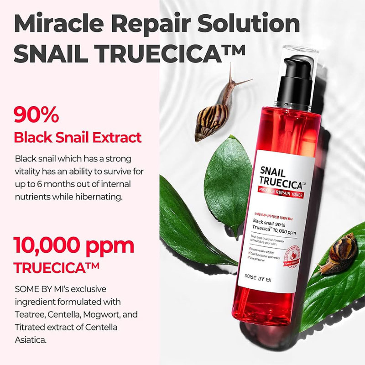 تونر ترمیم کننده و ضد لک حلزون سام بای می Some By Mi Snail Truecica حجم 135 میلی لیتر تونر ترمیم کننده و ضد لک حلزون سام بای می Some By Mi Snail Truecica حجم 135 میلی لیتر
