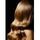 شامپو روغنی مغذی و منظم کننده موهای ضخیم لورال میسیک اویل LOreal Mythic Oil Thick حجم 250 میلی لیتر شامپو روغنی مغذی و منظم کننده موهای ضخیم لورال میسیک اویل LOreal Mythic Oil Thick حجم 250 میلی لیتر
